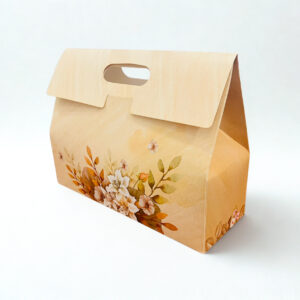 Paper Gift Box With Handle (10..5x3.75x8 Inches)