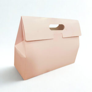 Small Gift Box With Handle (10..5x3.75x8 Inches)