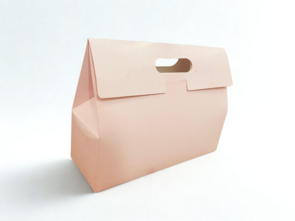 Small Gift Box With Handle (10..5x3.75x8 Inches) - Image 2