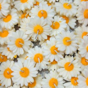 Y/W Daisy Flower Candle