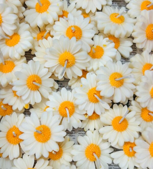 Y/W Daisy Flower Candle - Image 2